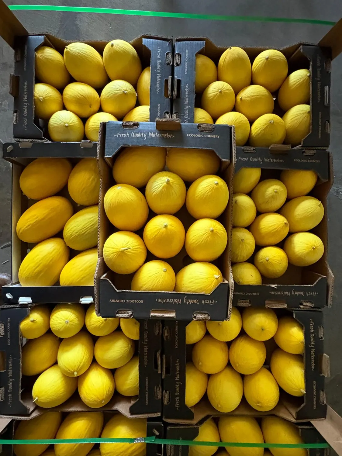 Cajas de melón paletizadas